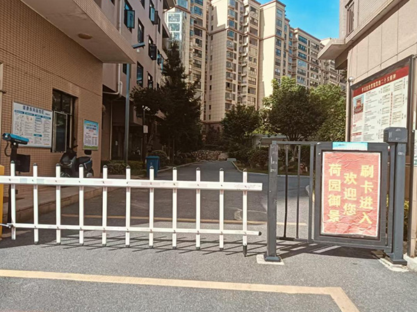 荷園御景